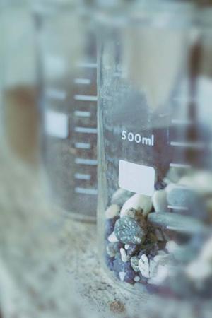 白石区でアレルギー科があるクリニック