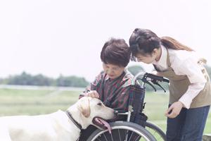 北九州市で人気ある歯医者について