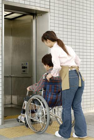 高輪台で信頼できる動物病院を見つけるための完全ガイド：健康管理と医療サービスのポイント解説