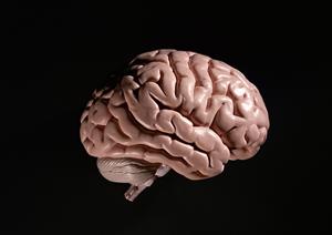 医療用かつらを取り扱う販売店です