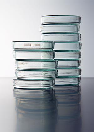 夕方からでも利用できる小牧市の夜間透析