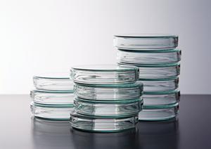 安心してインプラント治療を受けられる