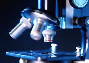 医療用かつらでナチュラルヘアを取り戻す