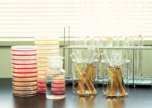 安佐南区で上手な歯医者を見つける手順